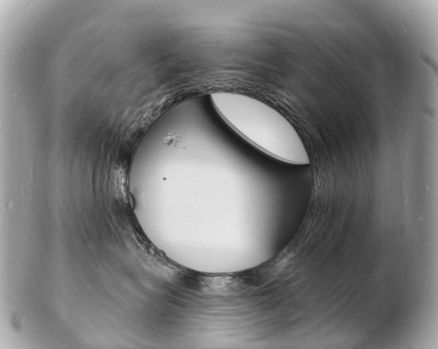 X0000103300575200808291133