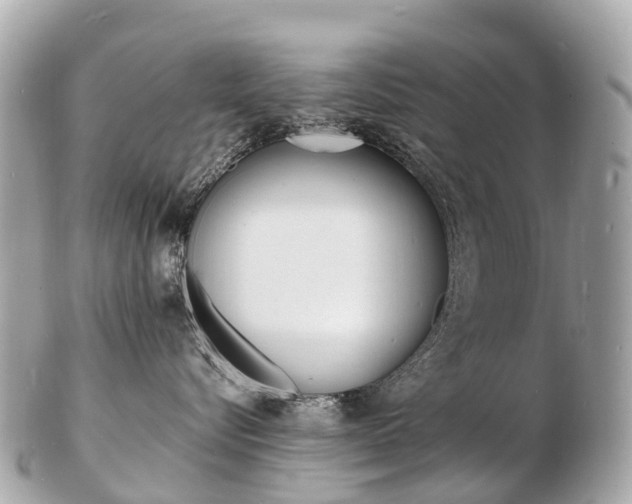 X0000103300576200808291133