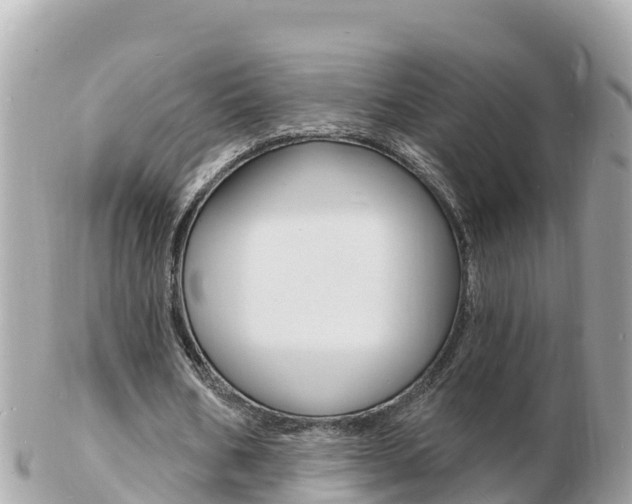 X0000103300578200808291132