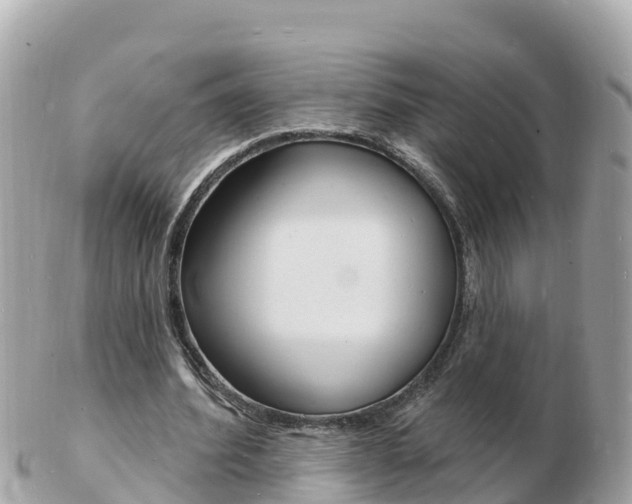 X0000103300580200808291132