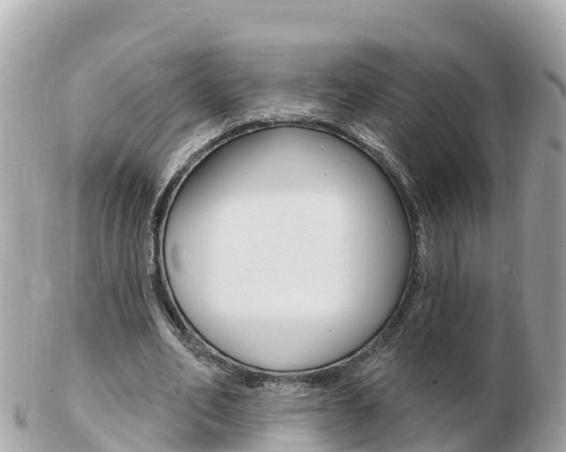 X0000103300582200808291132