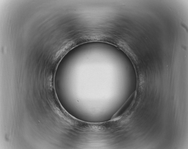X0000103300585200808291132