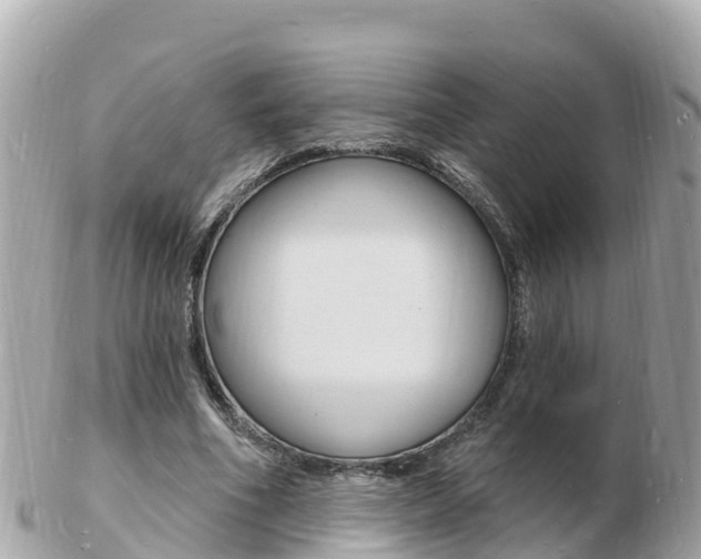 X0000103300586200808291132