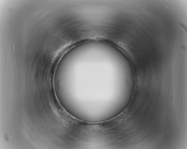 X0000103300587200808291132