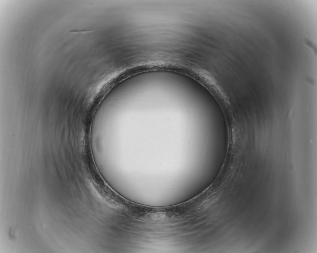 X0000103300588200808291132