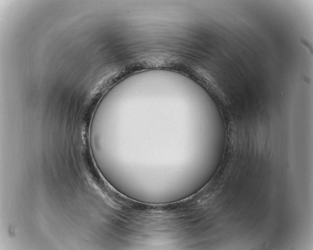 X0000103300590200808291132