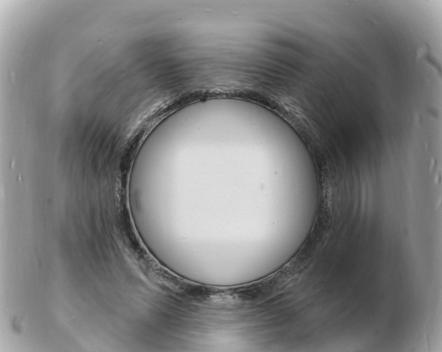 X0000103300591200808291132