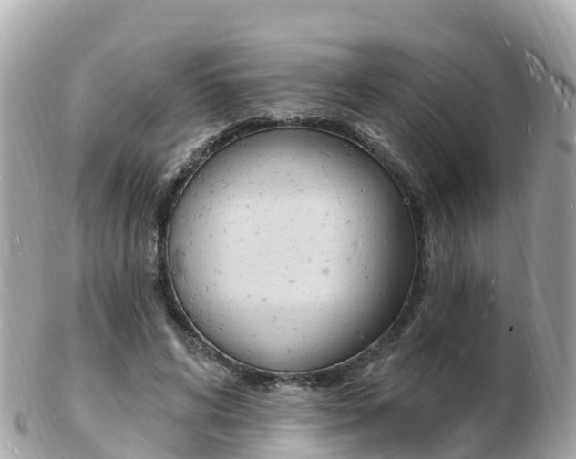 X0000103300592200808291132