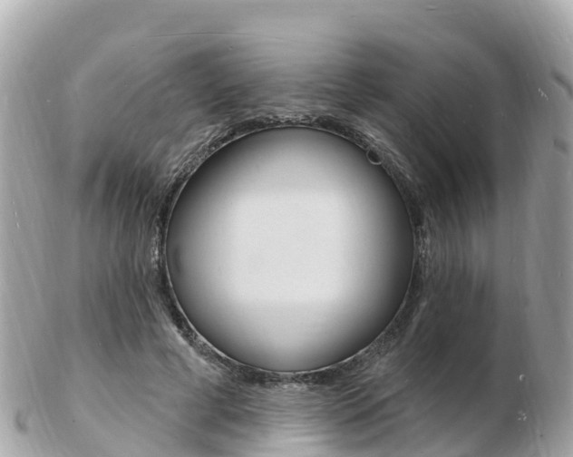 X0000103300593200808291132