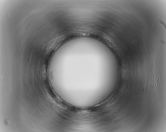 X0000103300594200808291132