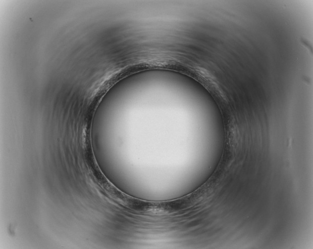 X0000103300596200808291132
