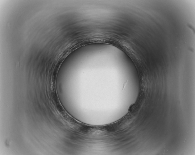 X0000103300597200808291132