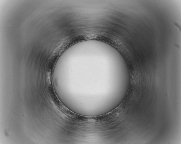 X0000103300598200808291132