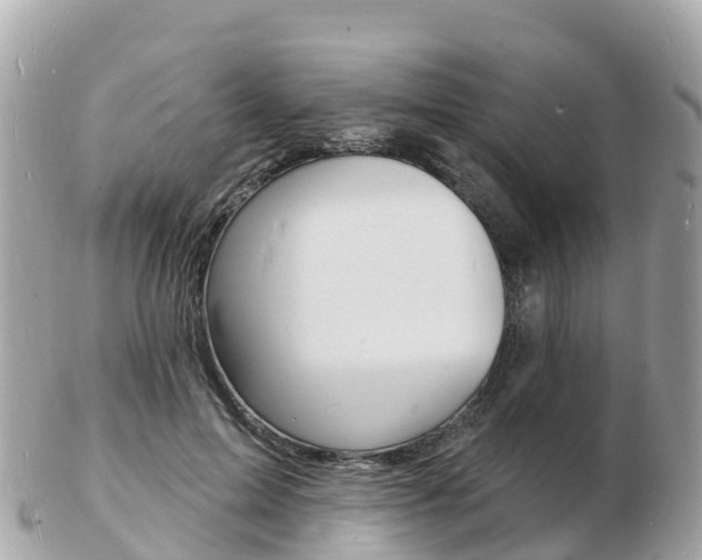X0000103300599200808291132