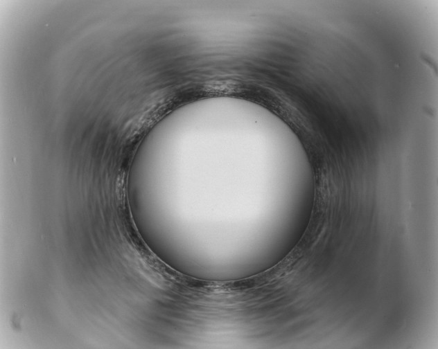 X0000103300601200808291132