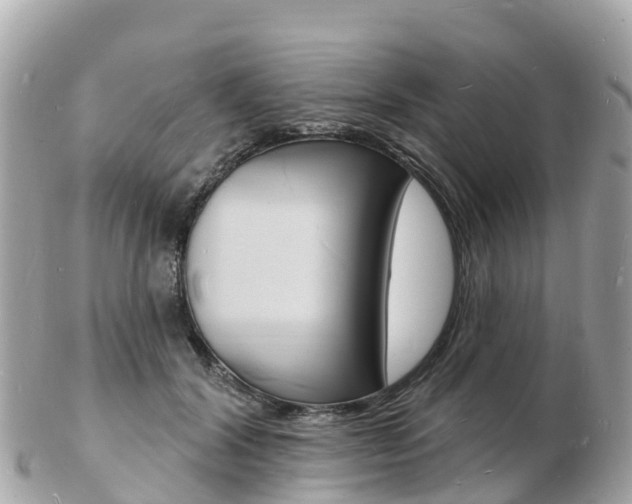 X0000103300604200808291132