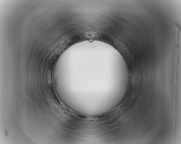 X0000103300606200808291132