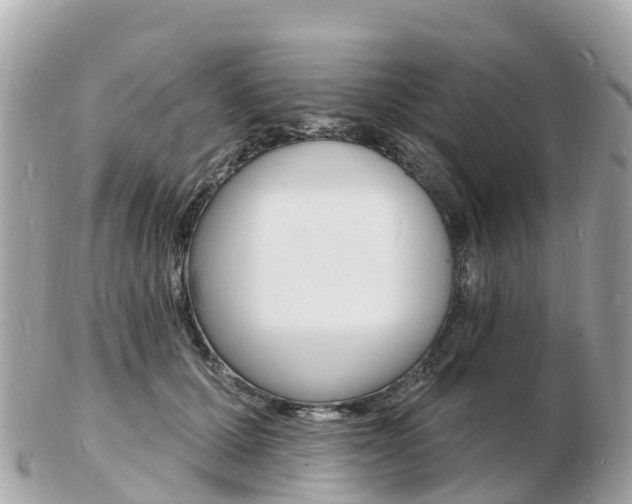 X0000103300607200808291132