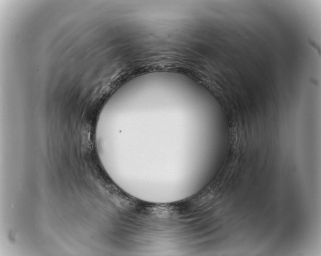 X0000103300615200808291132
