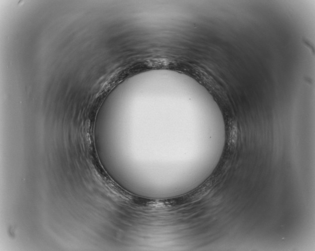 X0000103300616200808291132