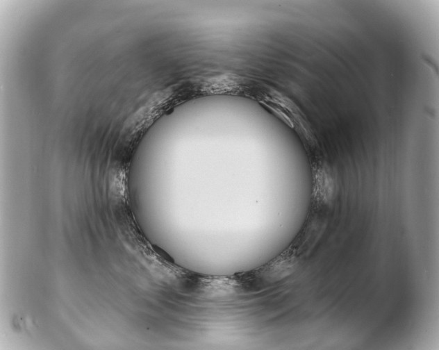 X0000103300621200808291132