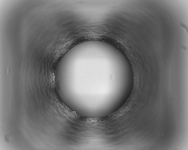 X0000103300624200808291132