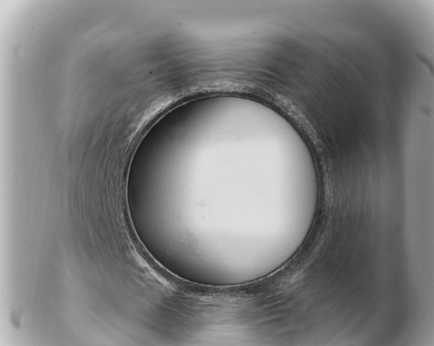 X0000103300625200808291131