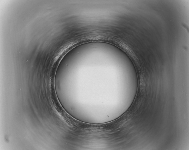 X0000103300626200808291131