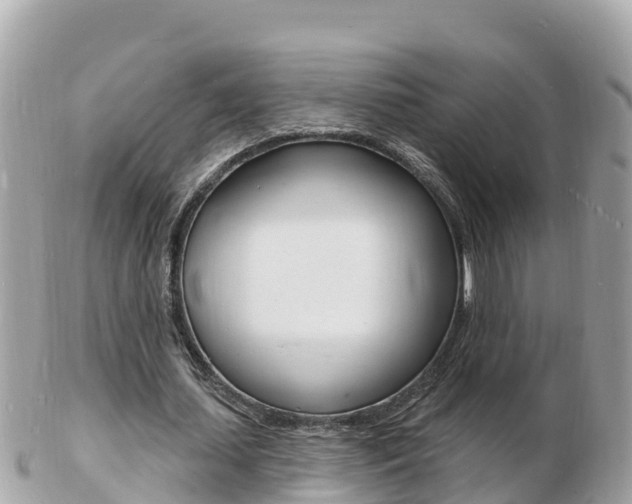 X0000103300627200808291131