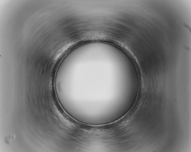 X0000103300629200808291131