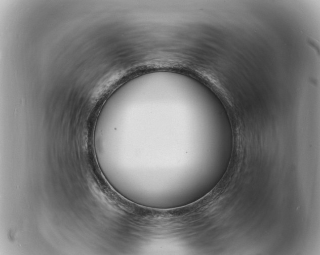 X0000103300631200808291131