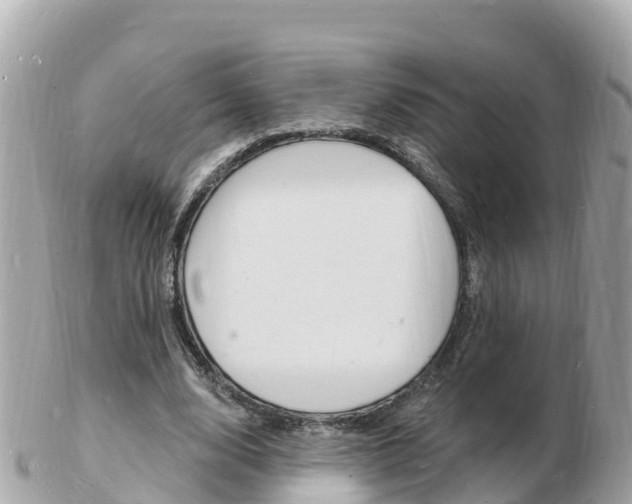 X0000103300632200808291131