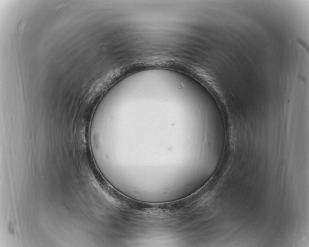 X0000103300633200808291131