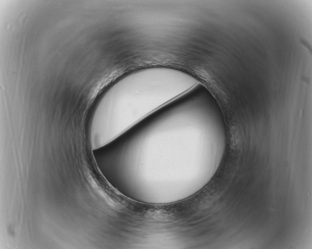 X0000103300634200808291131
