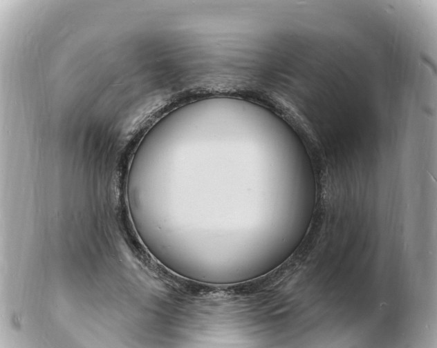 X0000103300635200808291131