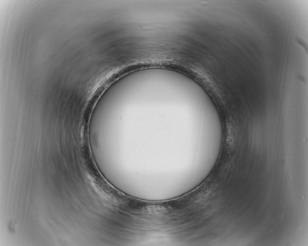 X0000103300636200808291131