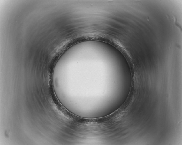 X0000103300637200808291131