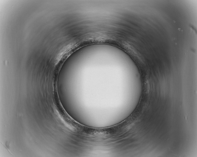 X0000103300638200808291131