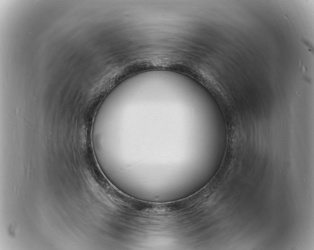 X0000103300639200808291131