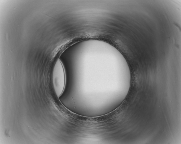 X0000103300640200808291131