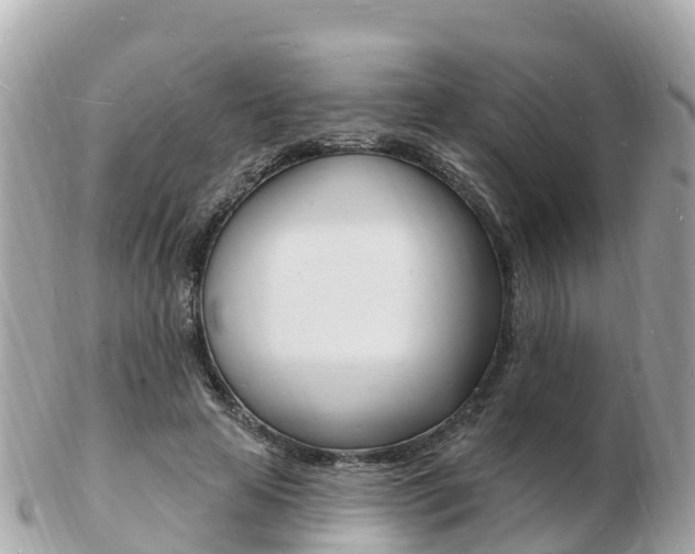 X0000103300641200808291131