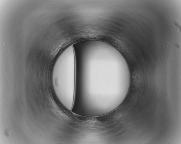 X0000103300642200808291131