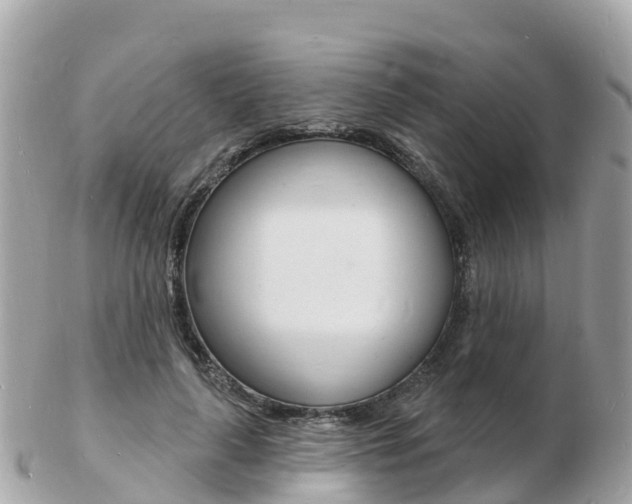 X0000103300643200808291131