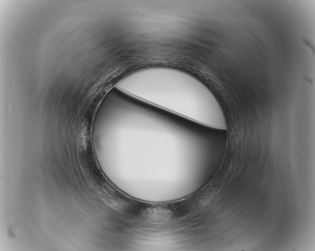 X0000103300644200808291131