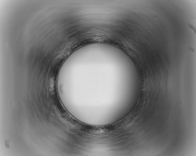 X0000103300646200808291131