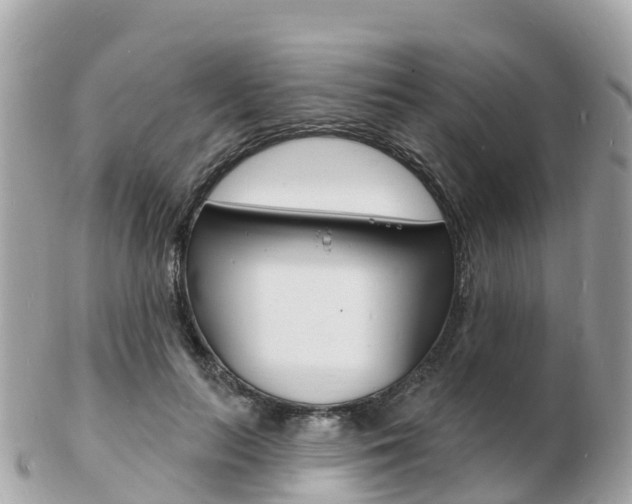 X0000103300647200808291131