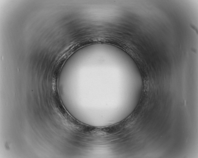 X0000103300648200808291131