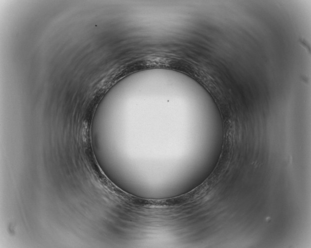 X0000103300649200808291131
