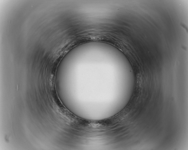 X0000103300650200808291131