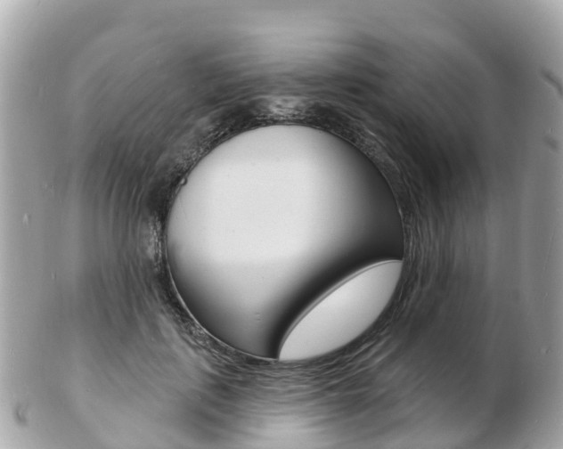 X0000103300651200808291131